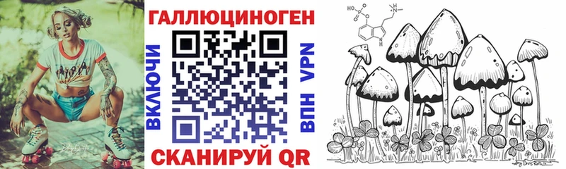 Галлюциногенные грибы Cubensis  Купить  Гагарин 